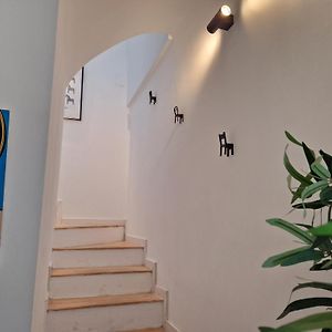 Penthouse Appartement
